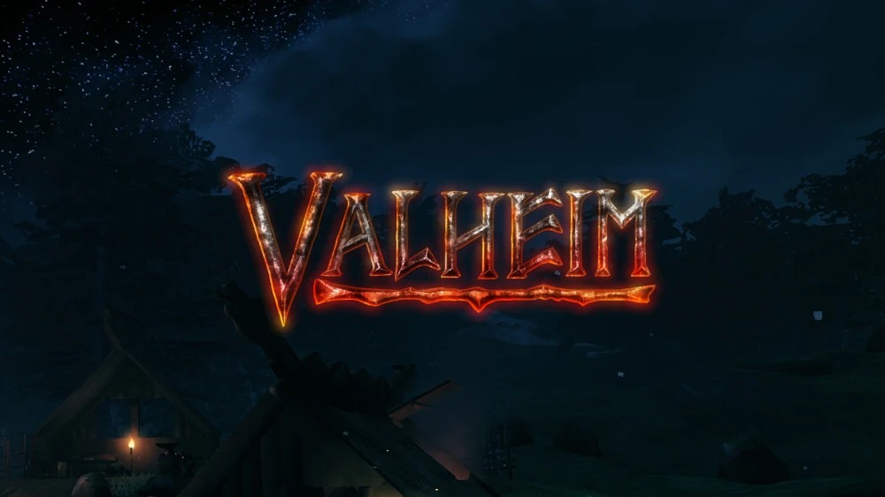 How to set a Valheim server password